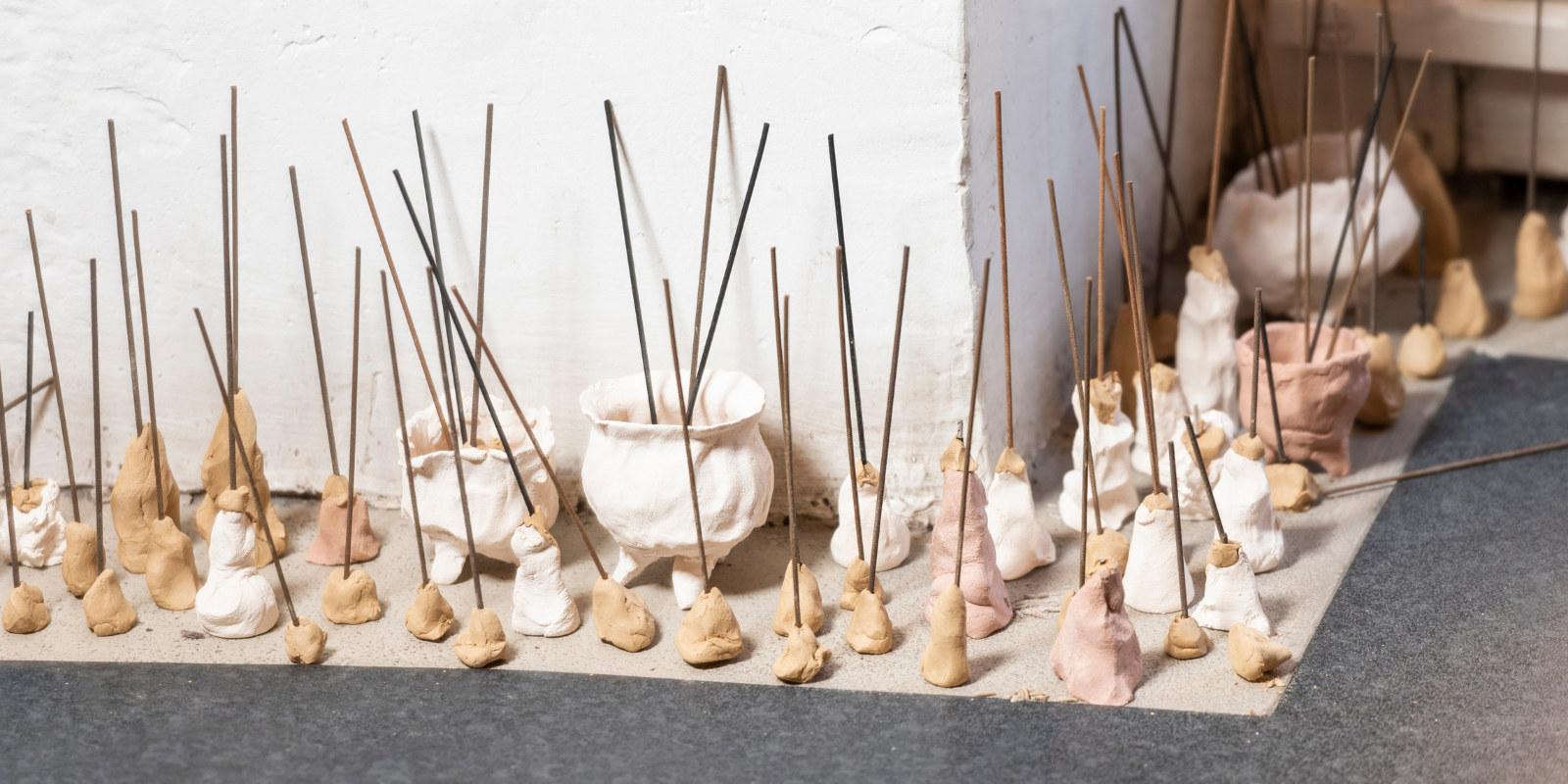 James Nguyen, Homeopathies_where new trees grow